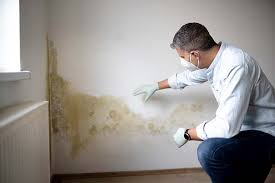 Best Asbestos and Lead Testing During Mold Inspection  in Mclean, VA